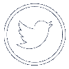 Twitter Icon